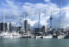 豪拉基湾-奥克兰-zhulei831230