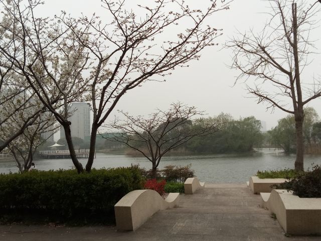 新江湾城公园旅行图片 7