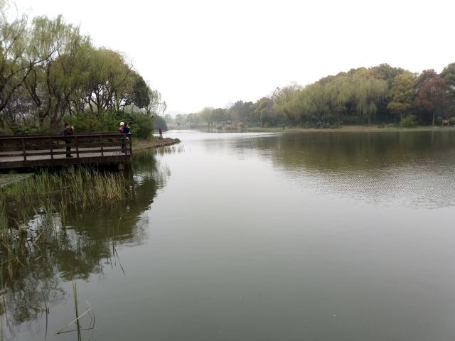 新江湾城公园旅行图片 8
