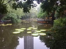 人民公园-上海-上善若水七0年代