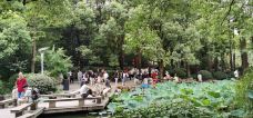 人民公园-上海