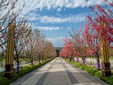 潘安湖国家湿地公园-徐州-C-IMAGE