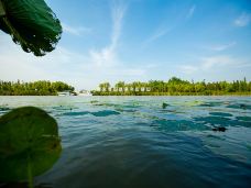 潘安湖国家湿地公园-徐州-C-IMAGE