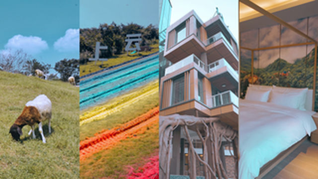 浙江安吉 | 住进竹林中的树屋山居酒店，去云上草原高空挑战