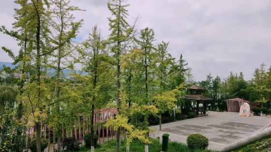 翠湖公園