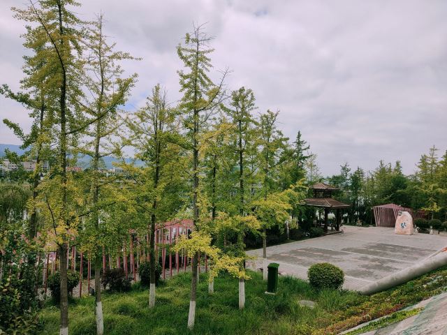 翠湖公园旅行图片 2