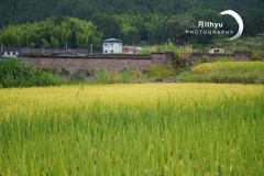 周宁游记图片] 去福建海拔最高的山村里走红军路线，吃红军菜，忆当年