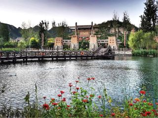 乡村味道，是生活本质的回归?还是归园田居的升华？