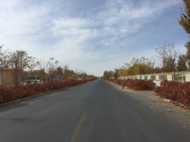雷音寺旅行图片 3
