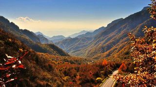 赏最美秦岭秋色，为商洛美停留