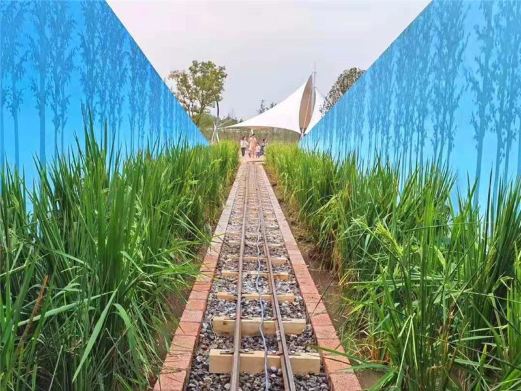 松鼠咔咔探索乐园