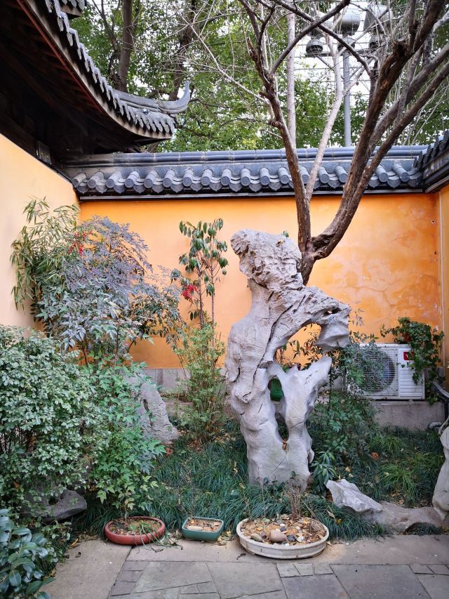 湖州铁佛寺旅行图片 2