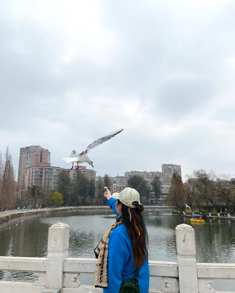 昆明旅游网