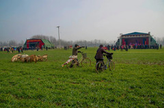 平顶山游记图片] 冯洪波：中原乡戏