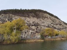 卢舍那大佛-洛阳-爱吃炒莓的小羊