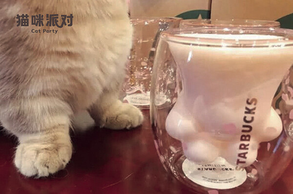 猫咪派对的印象应该是我记忆犹新的存在