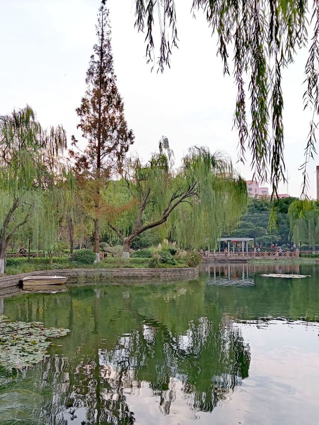岭南公园旅行图片 1