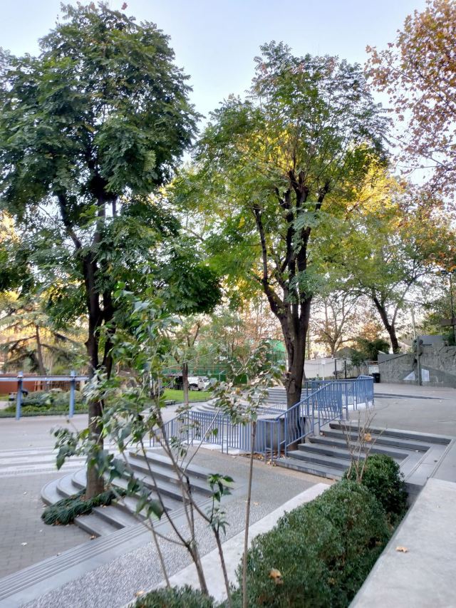 汉阳门花园旅行图片 8