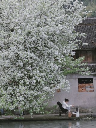 【天晴姐步履不停之】宁波,那些春日限定旅行地