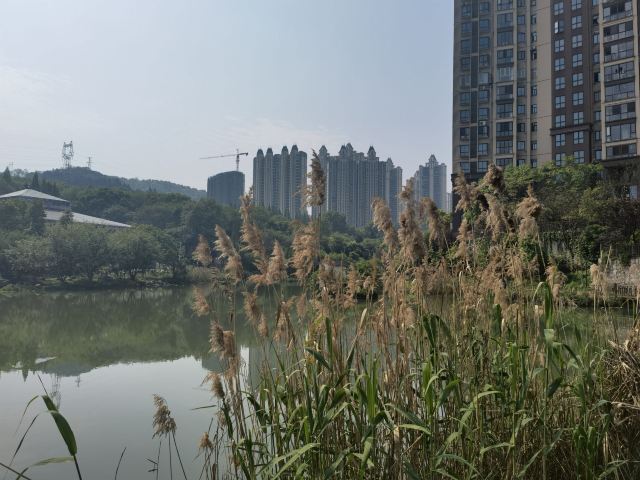 南岭植物园旅行图片 1