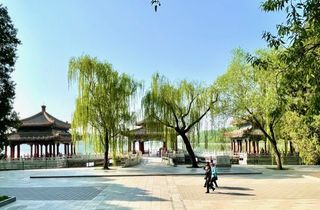 北海公园阐福寺 郭怡孮父子三人花鸟画展