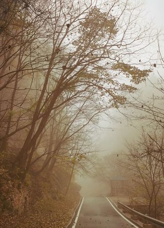 西游记 第四十回:鹰城阴沉寥寥秋日过东京,人牲人殉煌煌文明肇血腥