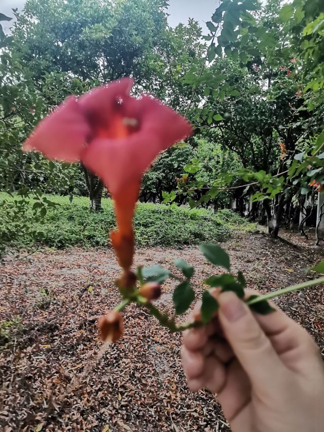 锦程公园旅行图片 3