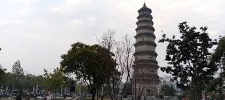 1-Day Tengzhou Tour: Explore Tengzhou Museum's History, Weishan Lake's Natural Beauty