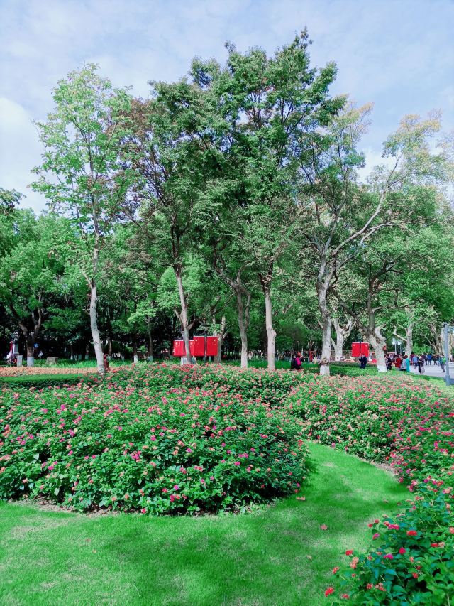 闸北公园旅行图片 4