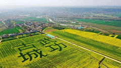 武功游记图片] “花间起武 功在自然” 武功古城第七届油菜花旅游节盛大开幕