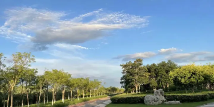 東麗湖生態體育公園