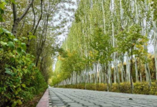 石化公园景点图片