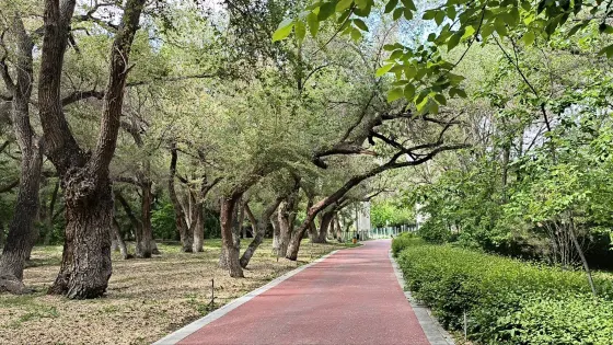 燕兒窩風景區