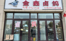 都护金鑫金鑫卤鸽