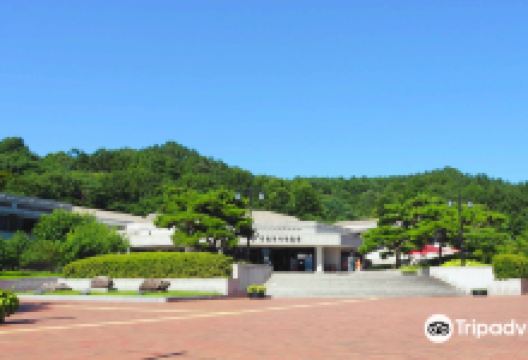 国立扶余博物馆景点图片