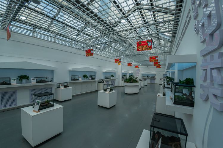 Gallery 3