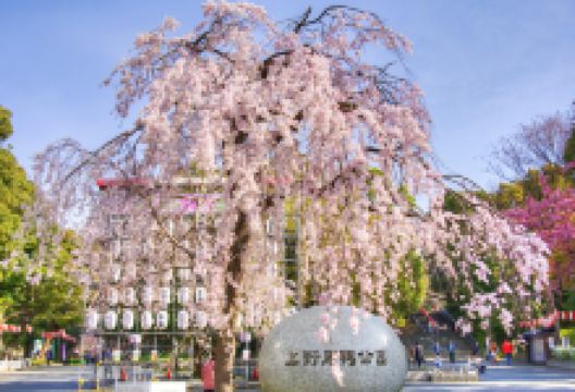 上野公园景点图片