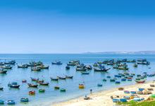 美奈海滩景点图片