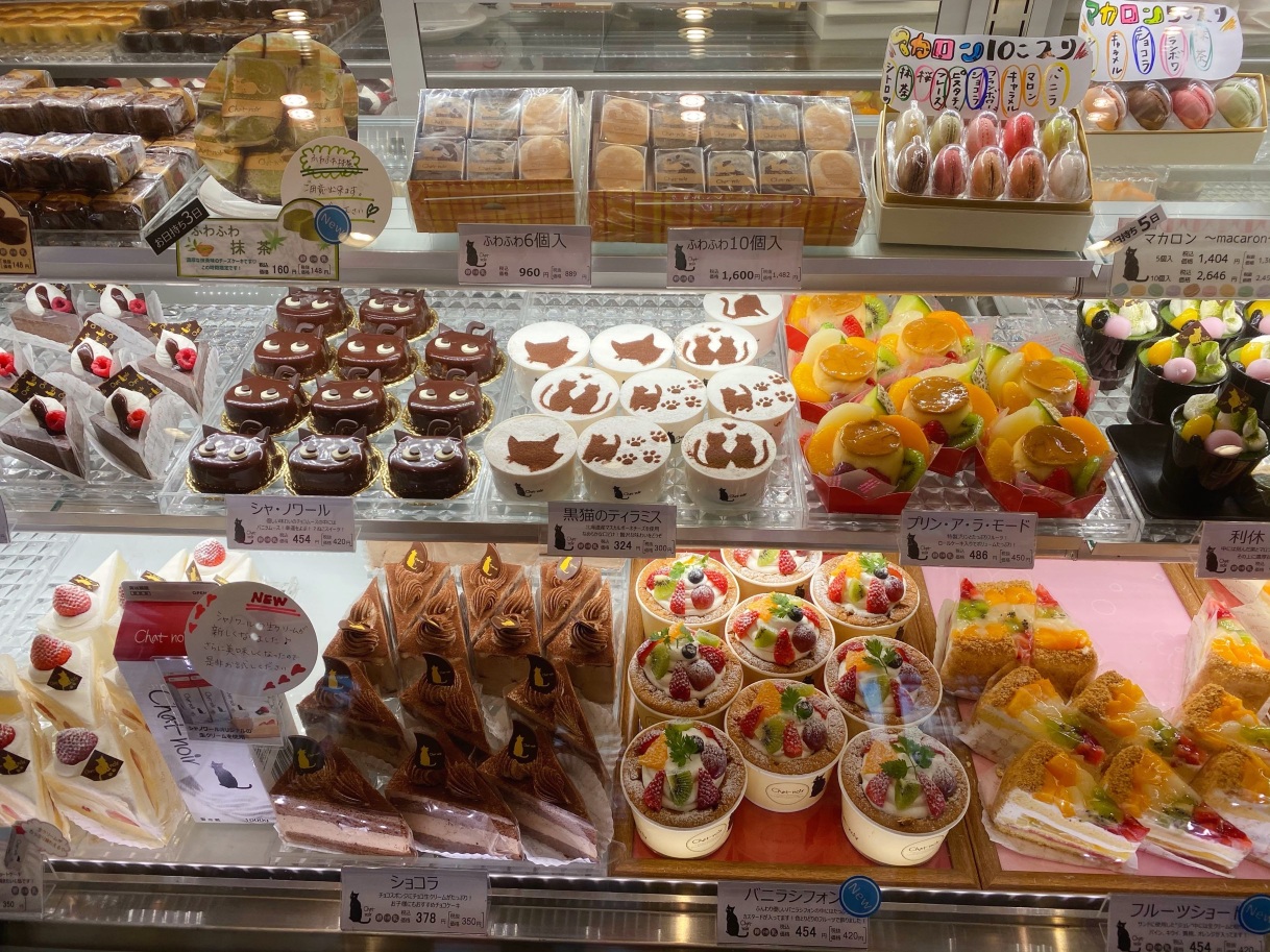 Chat noir Tsurumiryokuchi