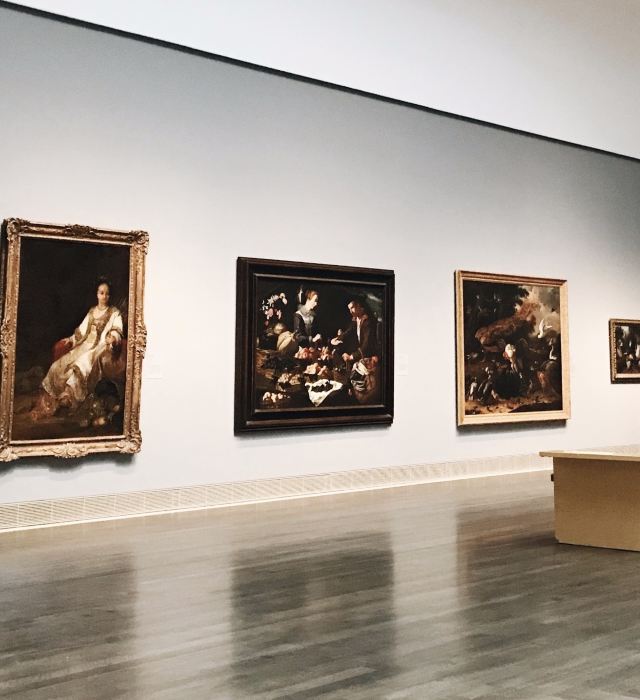 休斯敦休斯顿美术馆游玩攻略简介 休斯敦休斯顿美术馆门票 地址 图片 开放时间 照片 门票价格 携程攻略