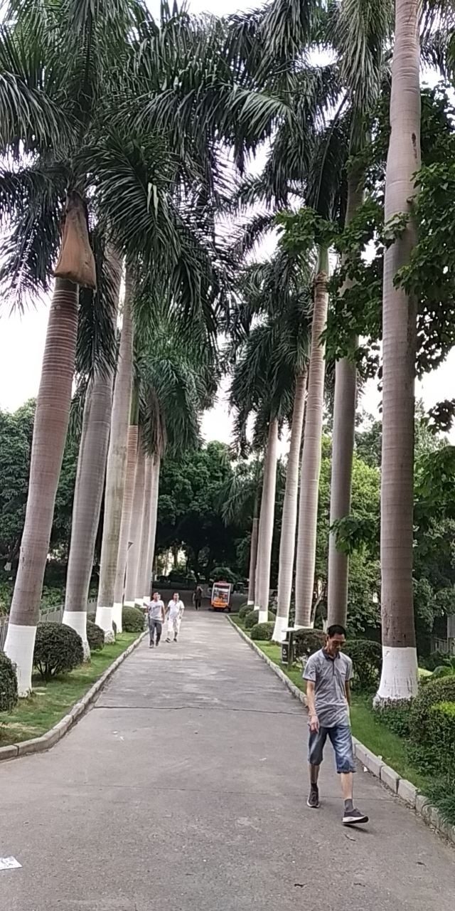百色人民公园旅行图片 3