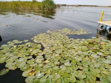 莲海世界-博湖-yuyanjia~