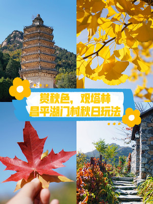 北京赏秋去哪里？去昌平延寿湖门村，漫步银山塔林秋日玩法