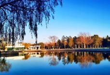 太阳岛风景区-哈尔滨-非你不渴