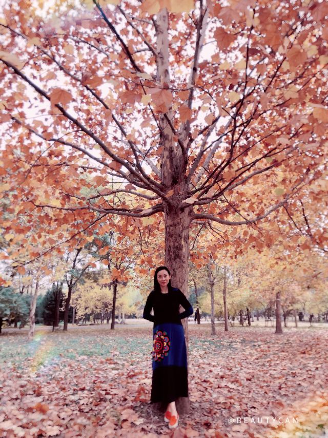 东坝公园旅行图片 3