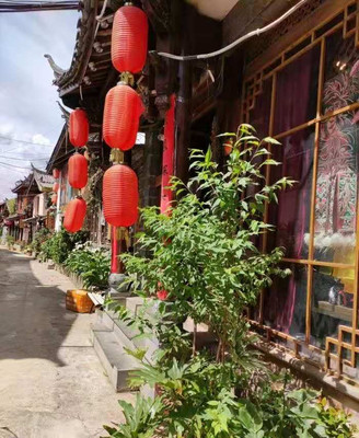 漫步丽江束河,黑龙潭,眺望玉龙雪山