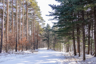 长春真是一座神奇的城市,逛个净月潭都能碰上世界冠军,真了不起