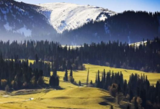 胡杨河旅游图片-12日乌鲁木齐+鄯善+吐鲁番+巴音郭楞+库尔勒