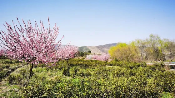 浮槎山森林公園