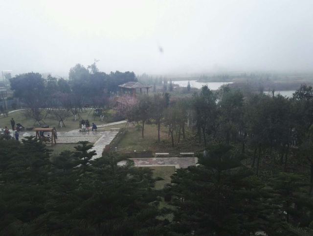 闽江河口国家湿地公园旅行图片 4